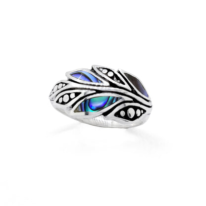 Ring Abalone - 81807